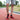running socks showcase