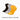 yoga socks colour combinations