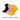 yoga socks colour combinations