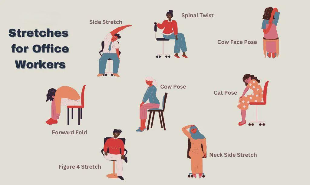 Office Stretch Routine 15 Minute Stretch Routine: 5 Best Office Stretching Exercises for ...